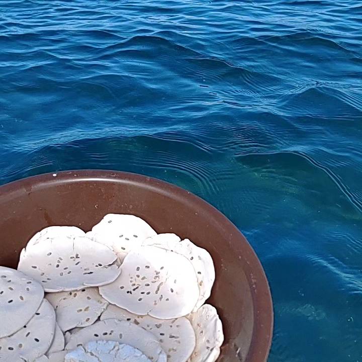 種を埋め込んだ紙粘土