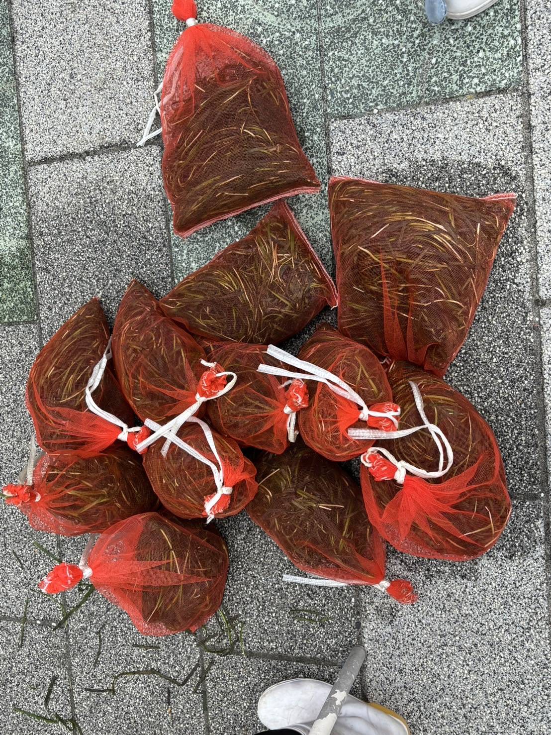 海中に沈めて熟成