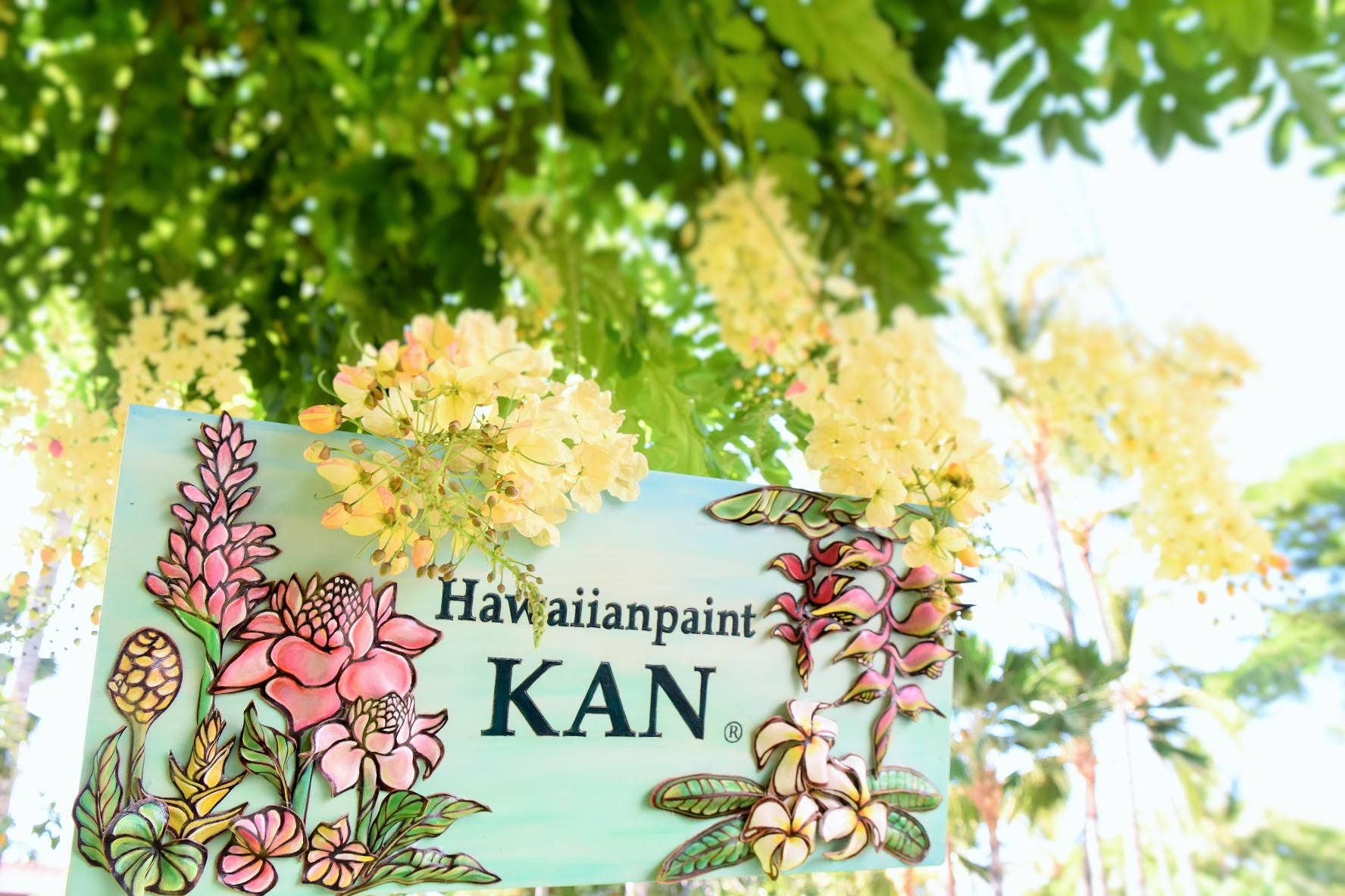 HawaiianpaintKAN (ハワイアンペイントカン）｜美しく豊かな静岡の海を