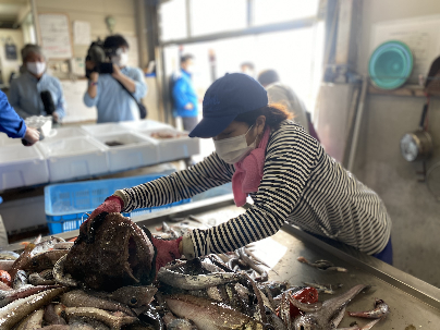 漁師応援プロジェクト 沼津市戸田の深海魚を守りたい 美しく豊かな静岡の海を未来につなぐ会