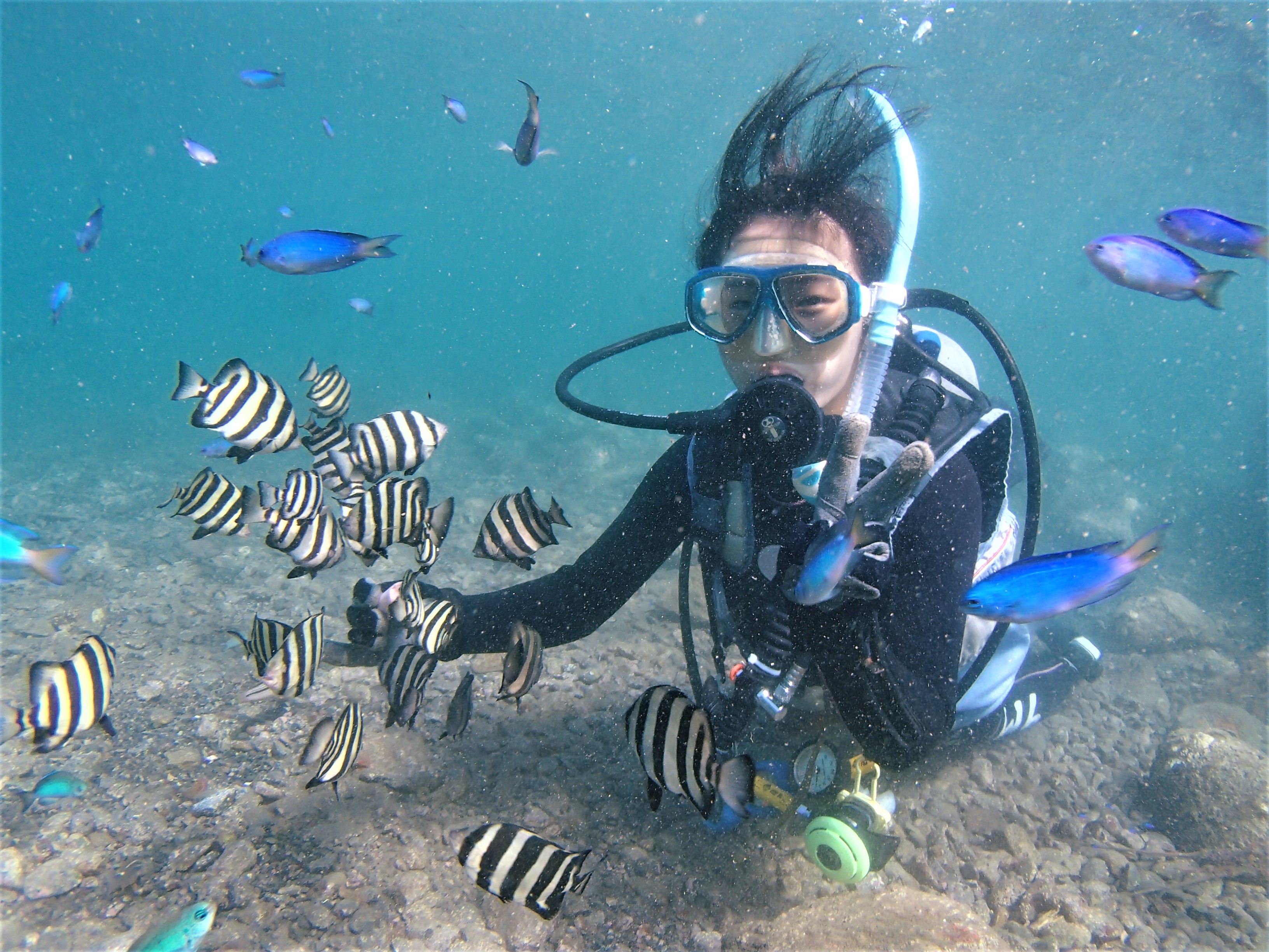 サブ写真1